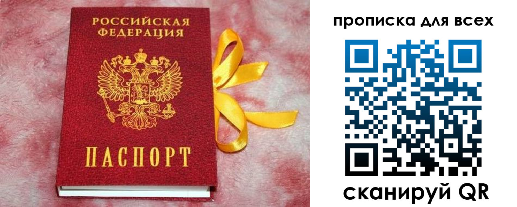 прописка для школы в Шуе